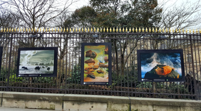 Origines @ Jardin du Luxembourg : la force naturelle de la Terre
